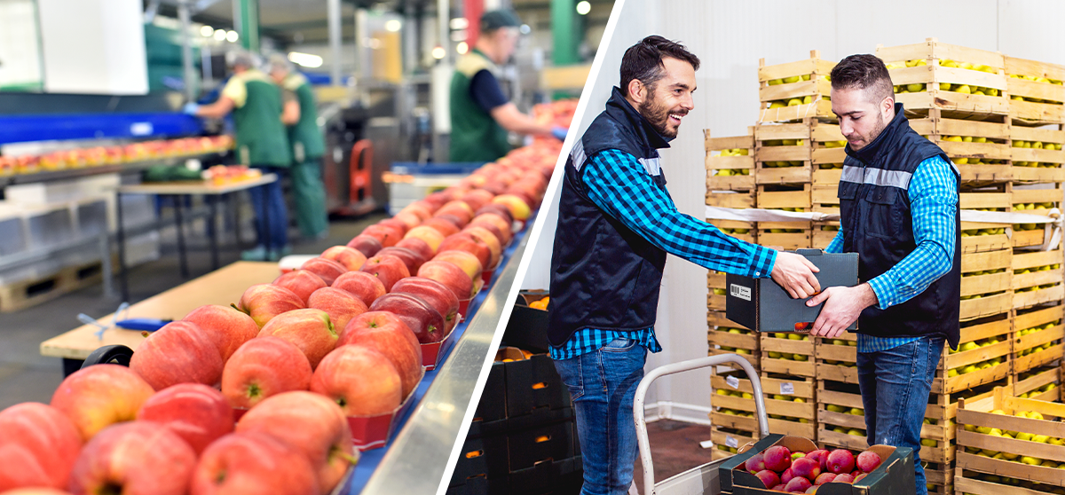 RFID for Food Safety​